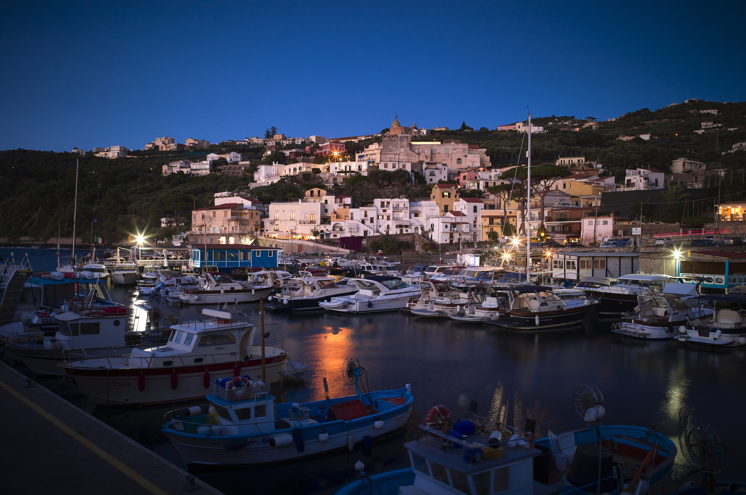L1002836 marina_lobra